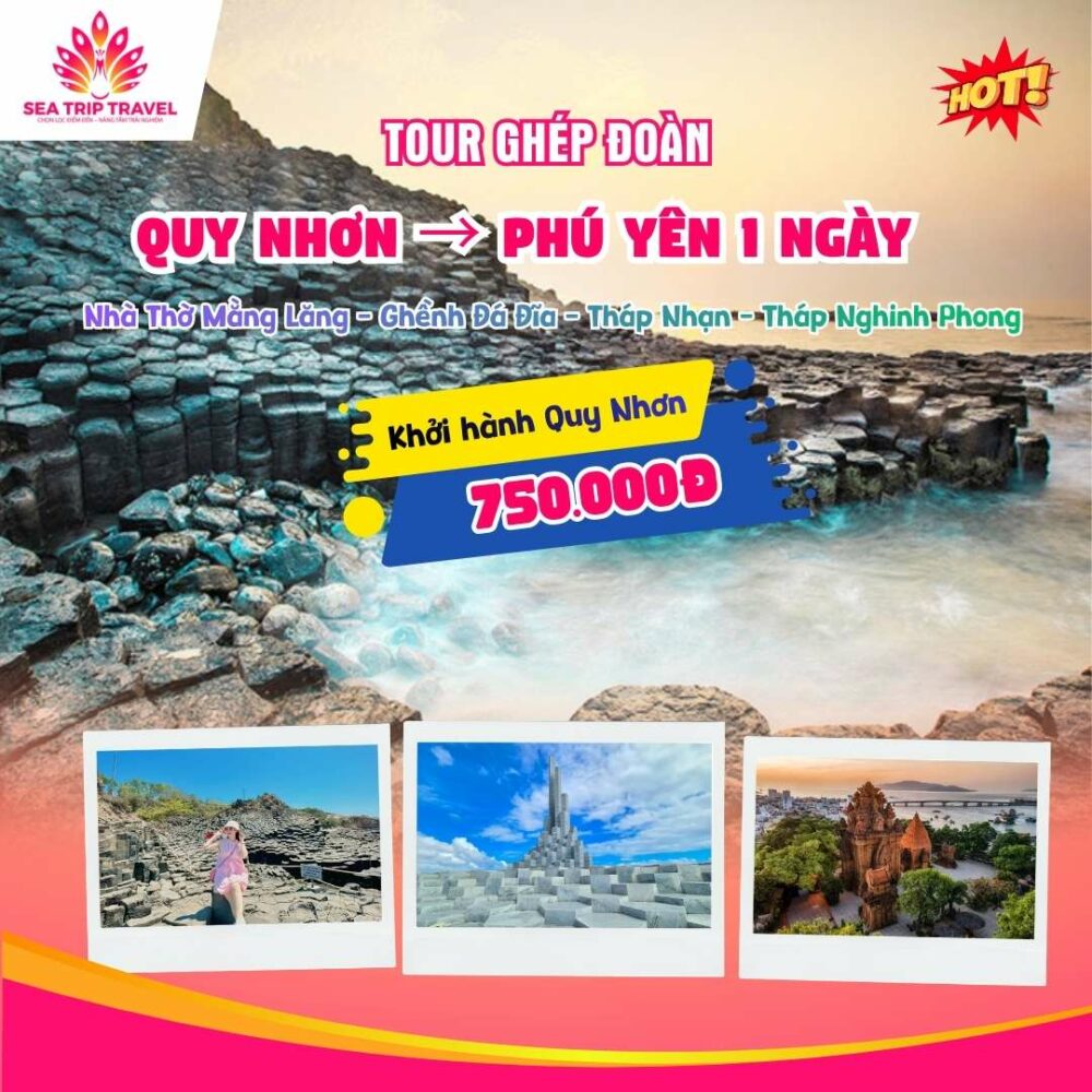 tour-quy-nhon-phu-yen-1-ngay.jpg