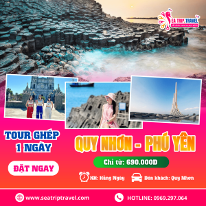 Tour Quy Nhơn Phú Yên 1 ngày