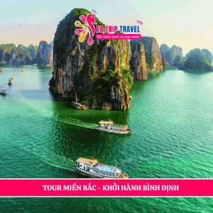 Tour Bình Định Hạ Long 3 ngày 2 đêm: Khám phám Vịnh Thiên Đường đẹp nhất Việt Nam.