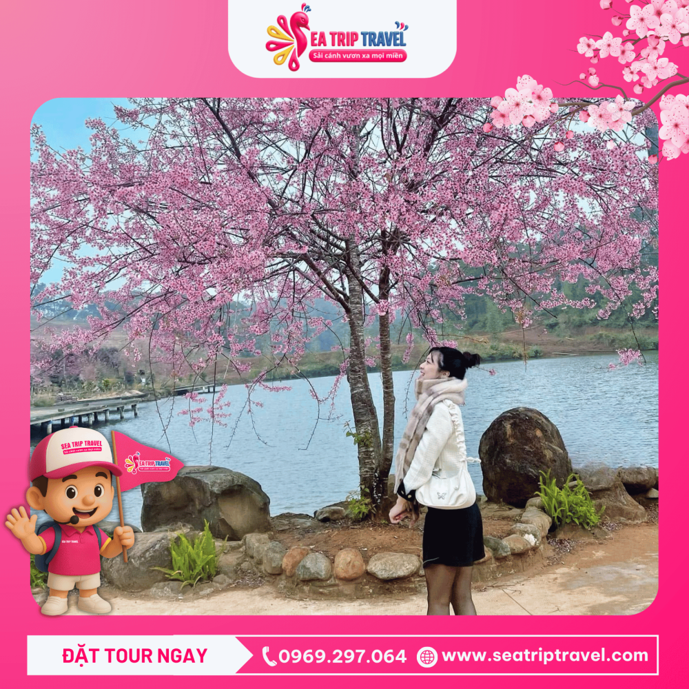 Tour Quy Nhơn - Măng Đen 2 ngày 1 đêm