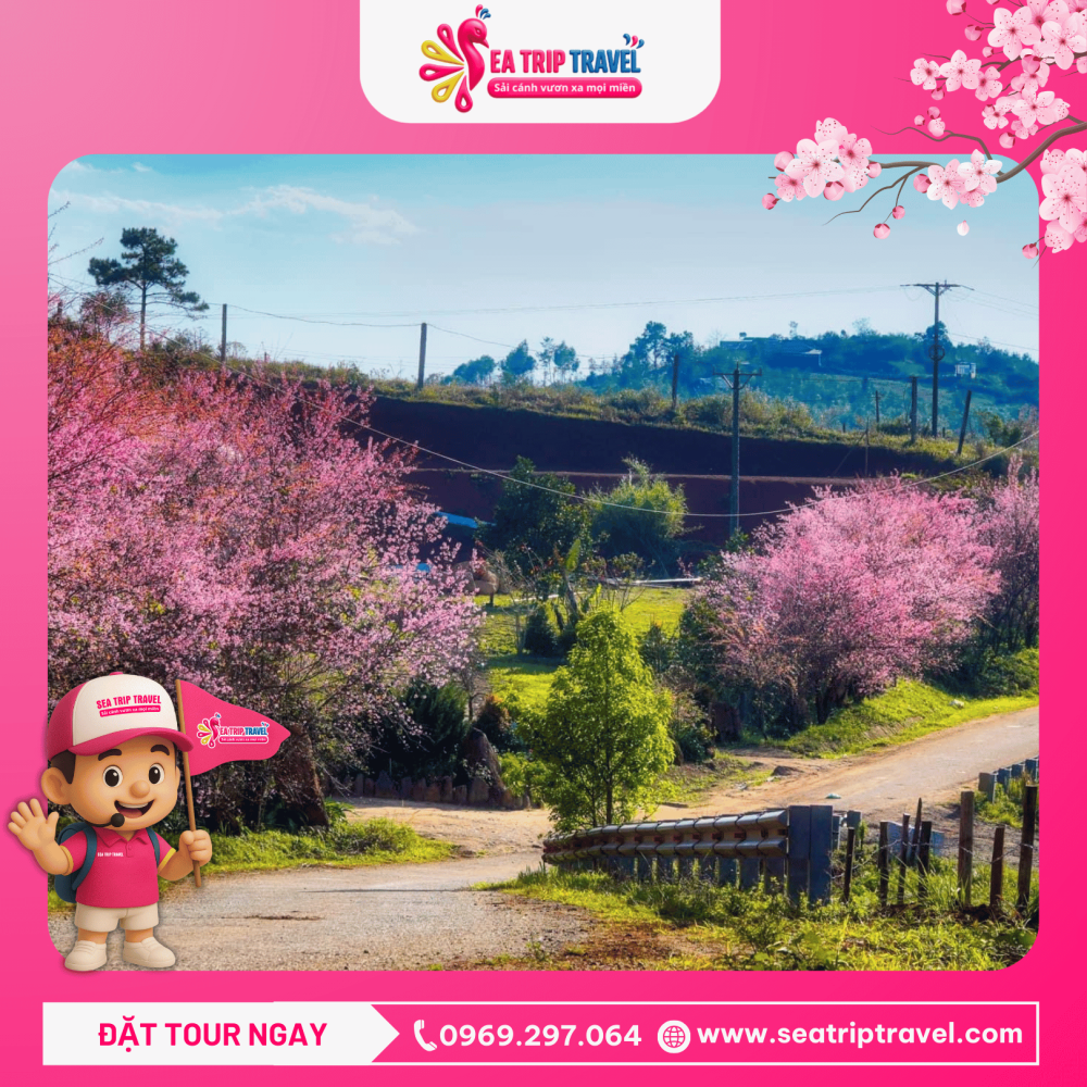 Tour Quy Nhơn - Măng Đen 2 ngày 1 đêm