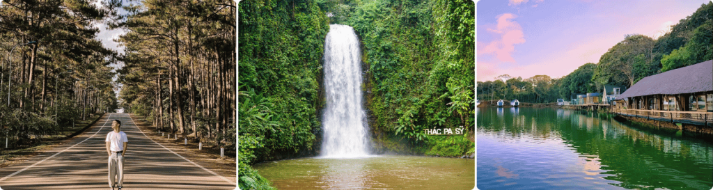 tour_quy_nhon_mang_den_2_ngay_1_dem.jpg