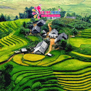 Tour Hà Nội Sapa 3 ngày 2 đêm: Khám phá Tây Bắc kỳ vĩ.