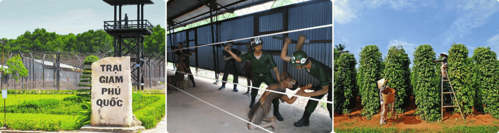 tour-ha-noi-phu-quoc-3-ngay-2-dem.jpg