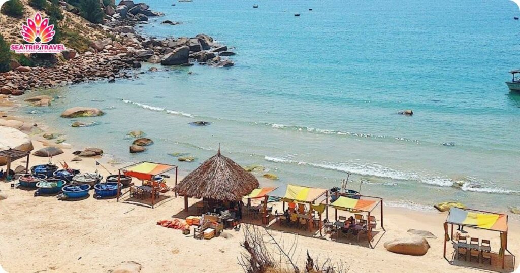 gia-ve-cac-diem-du-lich-quy-nhon.jpg