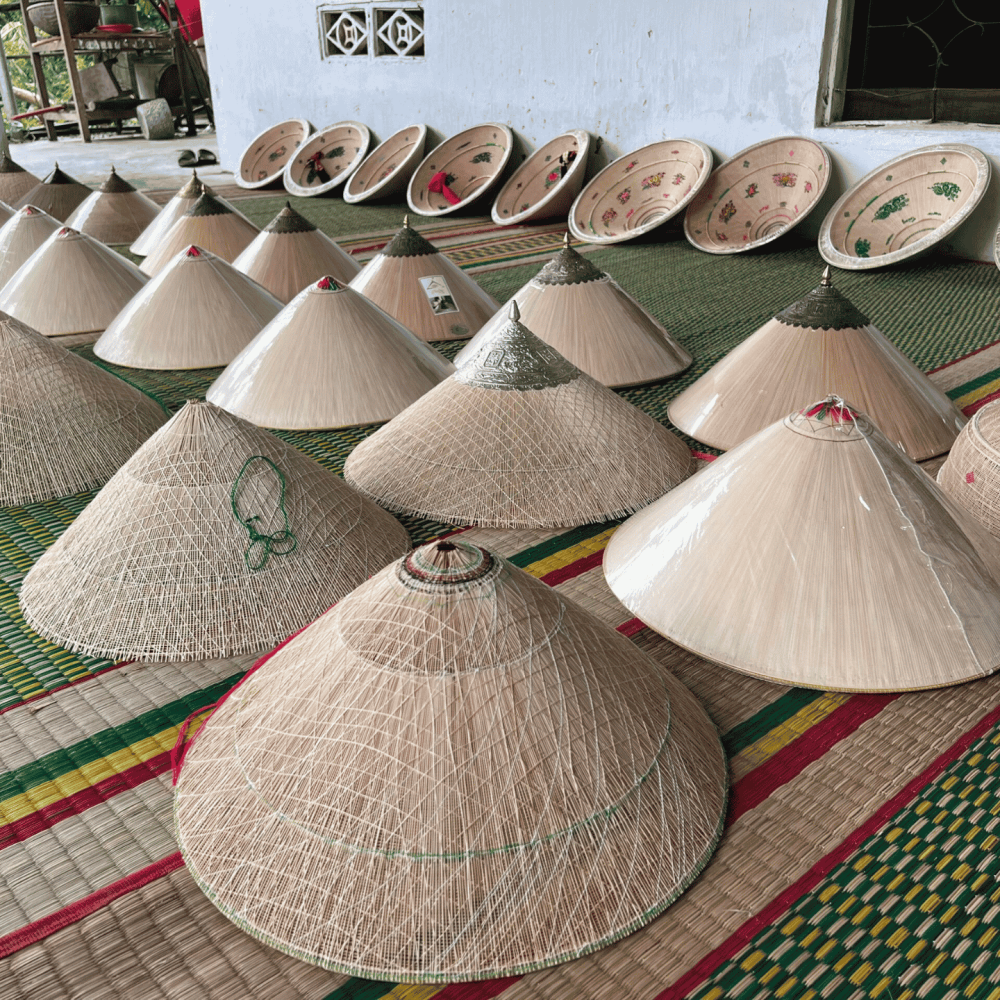 tour-hoc-sinh-quy-nhon-1-ngay.jpg