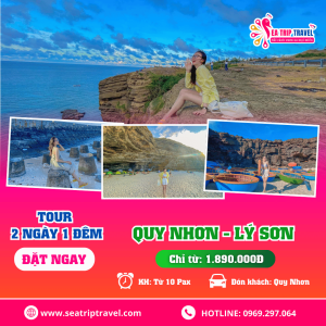 Tour Quy Nhơn Lý Sơn 2 ngày 1 đêm