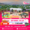 Tour Đà Lạt 3N2Đ từ Quy Nhơn