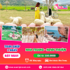 Tour Đồng Cừu - Vườn Nho Hang Rái - Vĩnh Hy 1 ngày